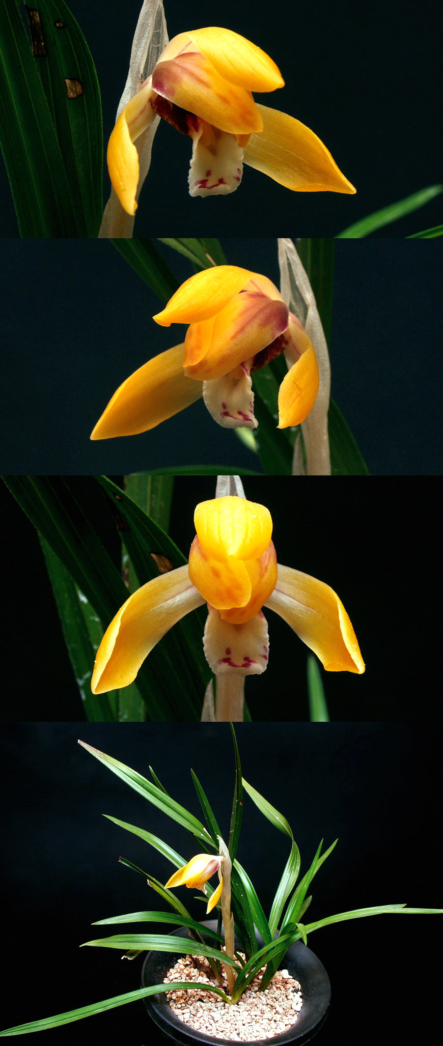 ������ ū������ �� �� �ֽ��ϴ�.