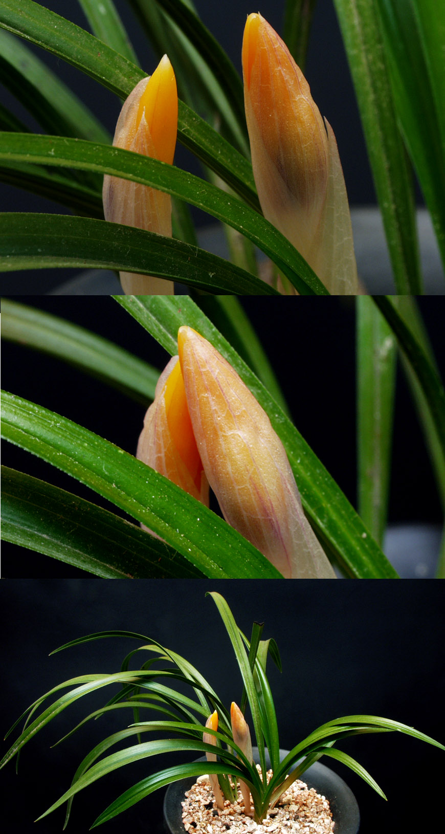 ������ ū������ �� �� �ֽ��ϴ�.