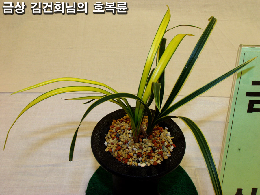 ������ ū������ �� �� �ֽ��ϴ�.