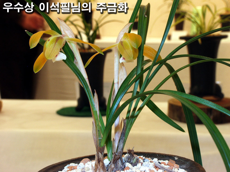 ������ ū������ �� �� �ֽ��ϴ�.