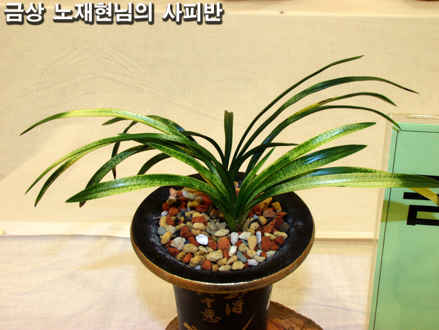 ������ ū������ �� �� �ֽ��ϴ�.