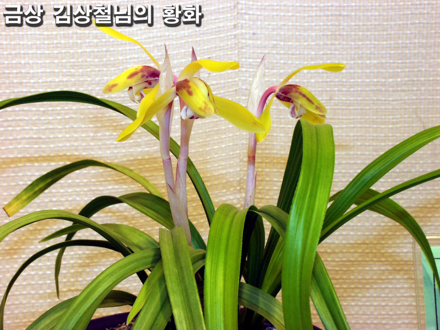 ������ ū������ �� �� �ֽ��ϴ�.