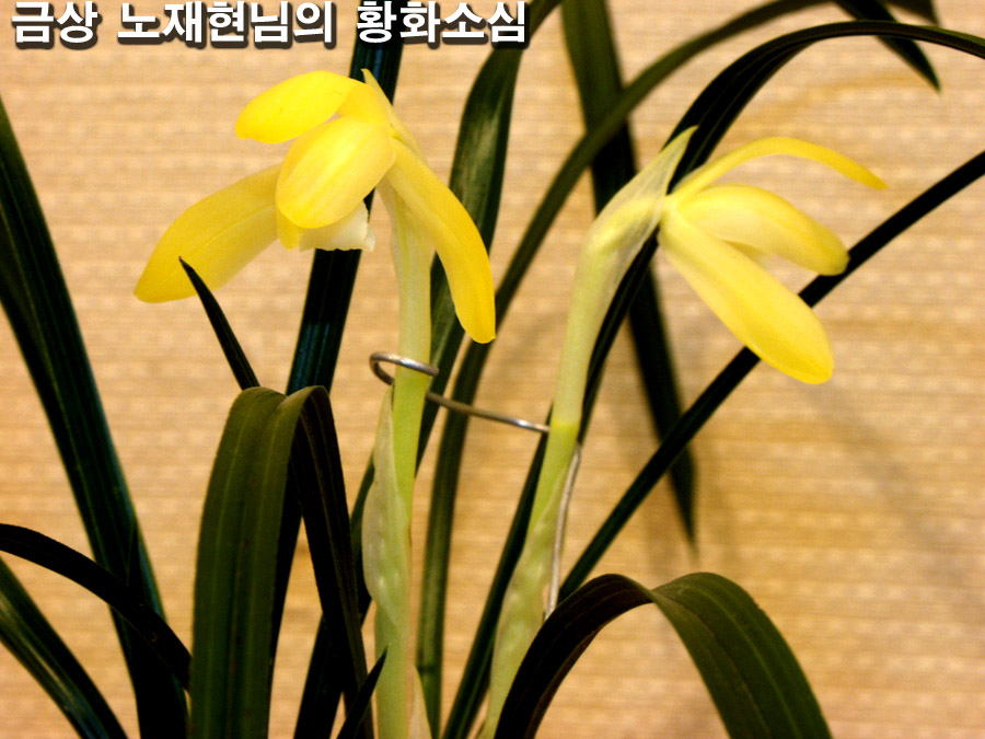 ������ ū������ �� �� �ֽ��ϴ�.