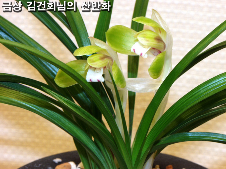 ������ ū������ �� �� �ֽ��ϴ�.