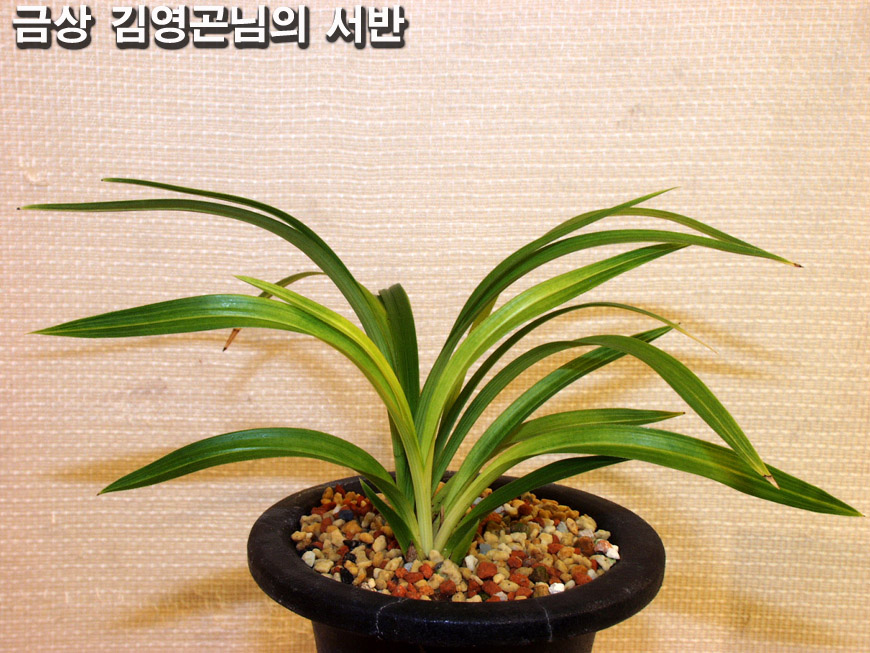 ������ ū������ �� �� �ֽ��ϴ�.