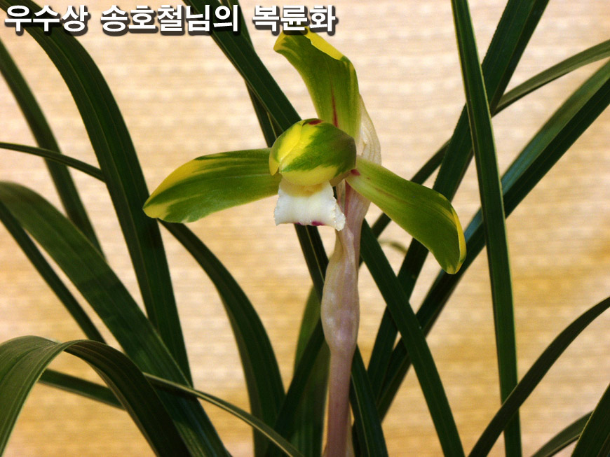 ������ ū������ �� �� �ֽ��ϴ�.