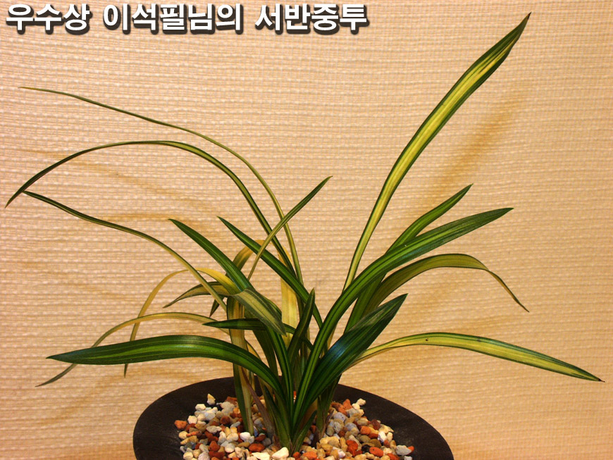 ������ ū������ �� �� �ֽ��ϴ�.