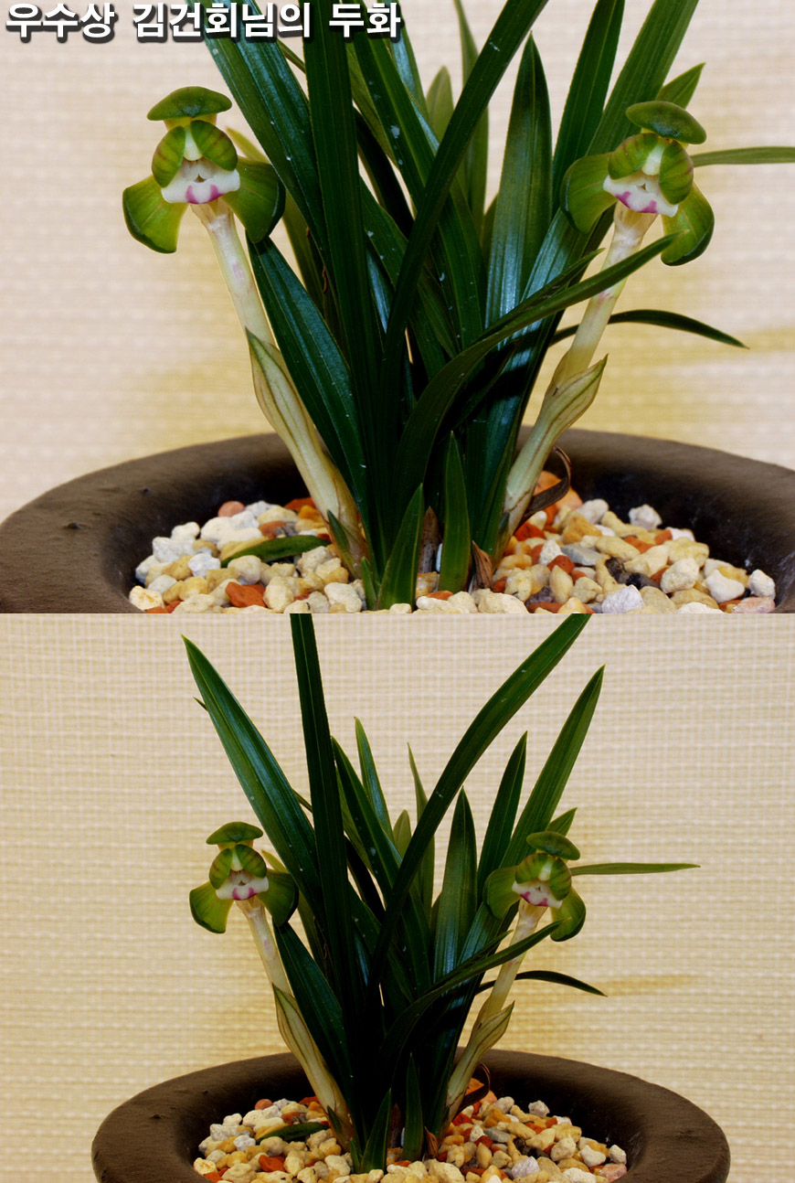 ������ ū������ �� �� �ֽ��ϴ�.