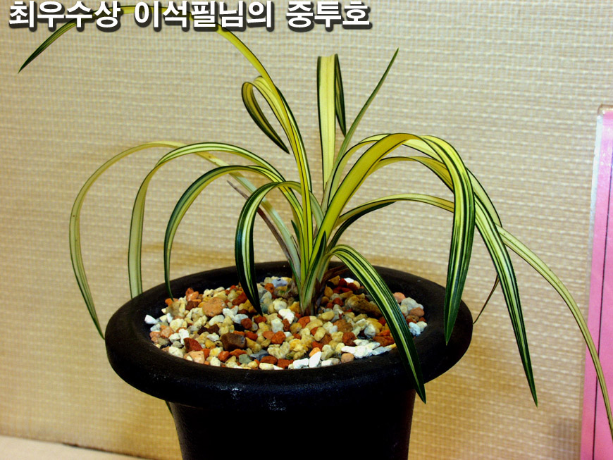 ������ ū������ �� �� �ֽ��ϴ�.