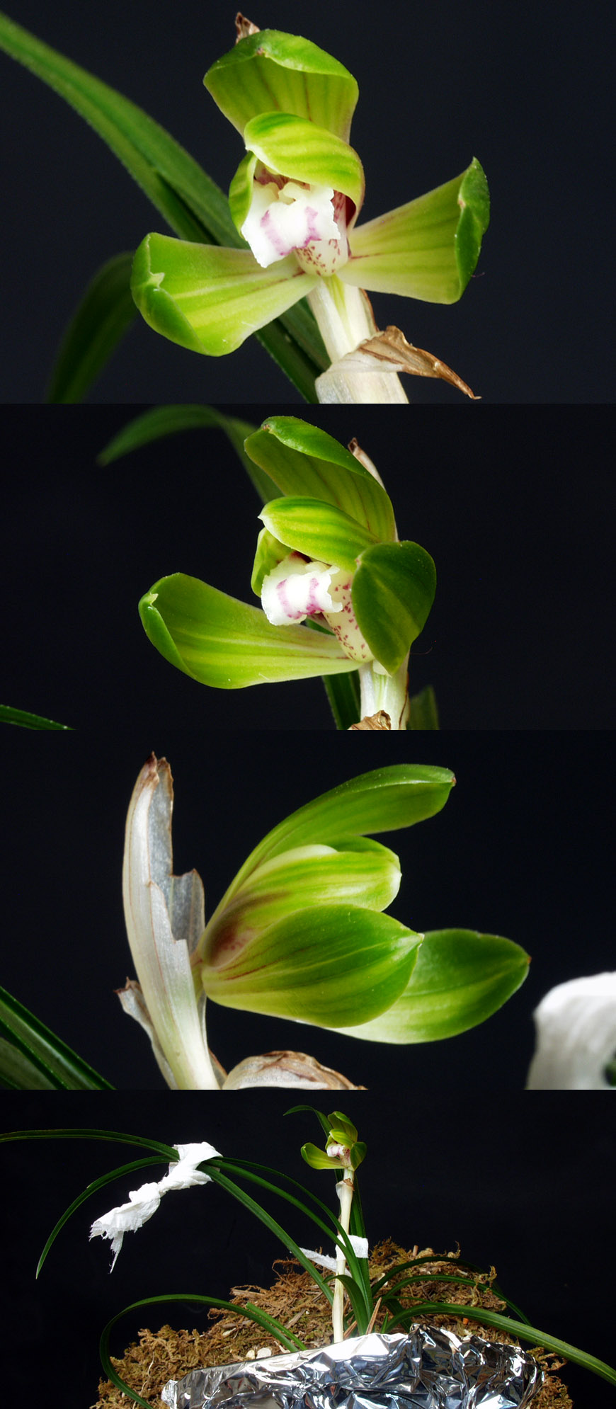 ������ ū������ �� �� �ֽ��ϴ�.