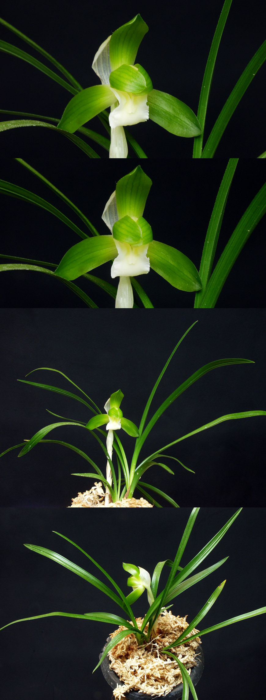 ������ ū������ �� �� �ֽ��ϴ�.