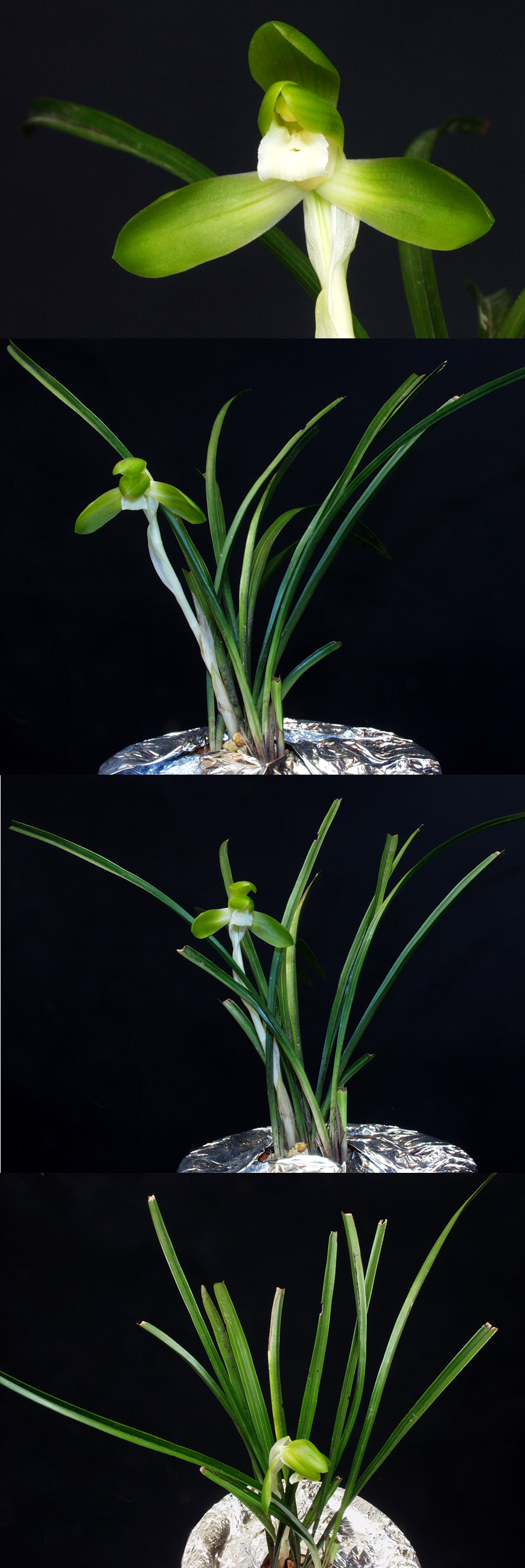 ������ ū������ �� �� �ֽ��ϴ�.