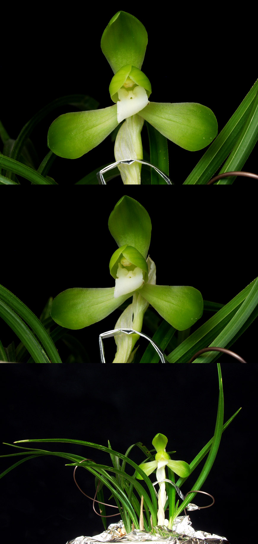 ������ ū������ �� �� �ֽ��ϴ�.