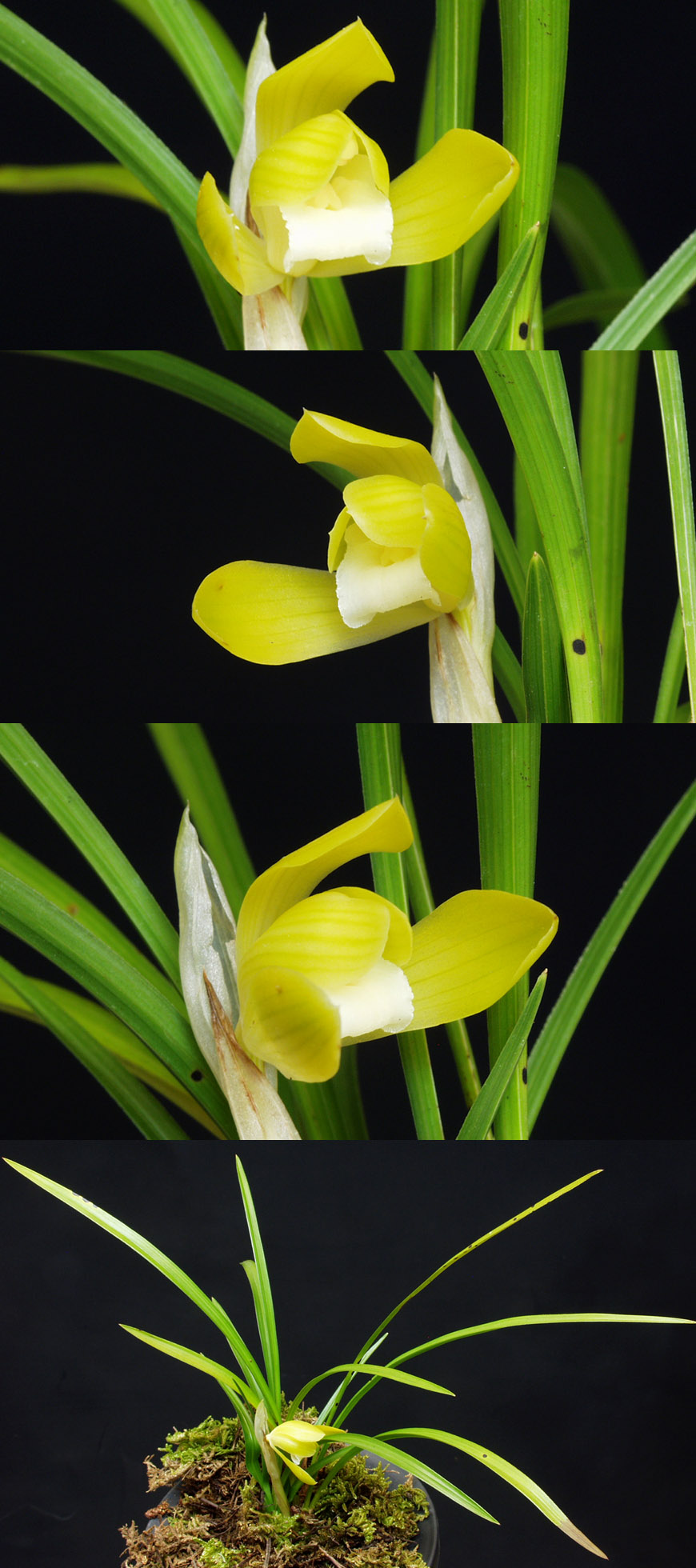 ������ ū������ �� �� �ֽ��ϴ�.