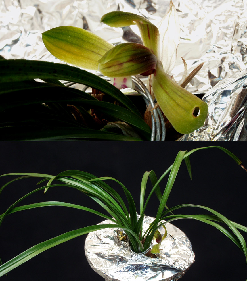 ������ ū������ �� �� �ֽ��ϴ�.