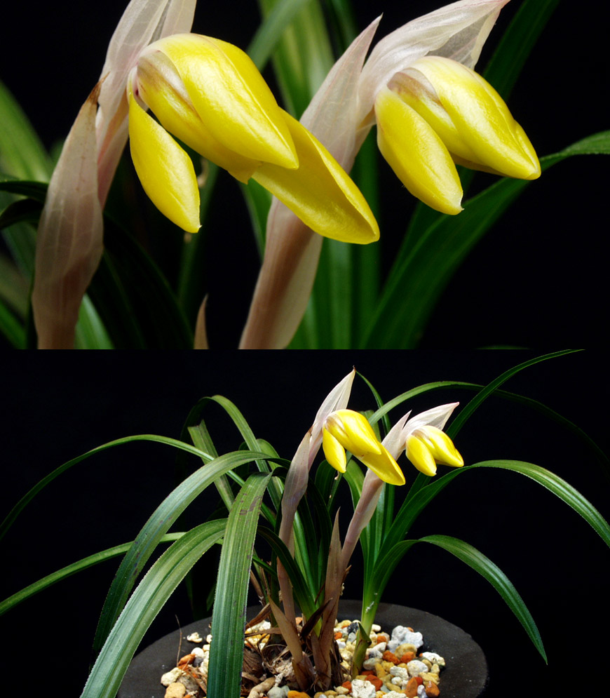 ������ ū������ �� �� �ֽ��ϴ�.