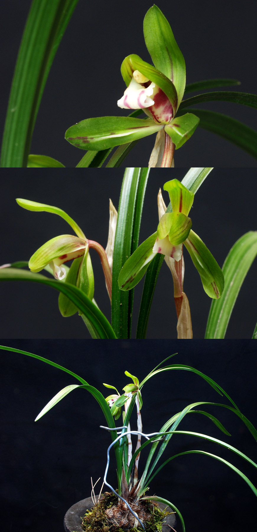 ������ ū������ �� �� �ֽ��ϴ�.