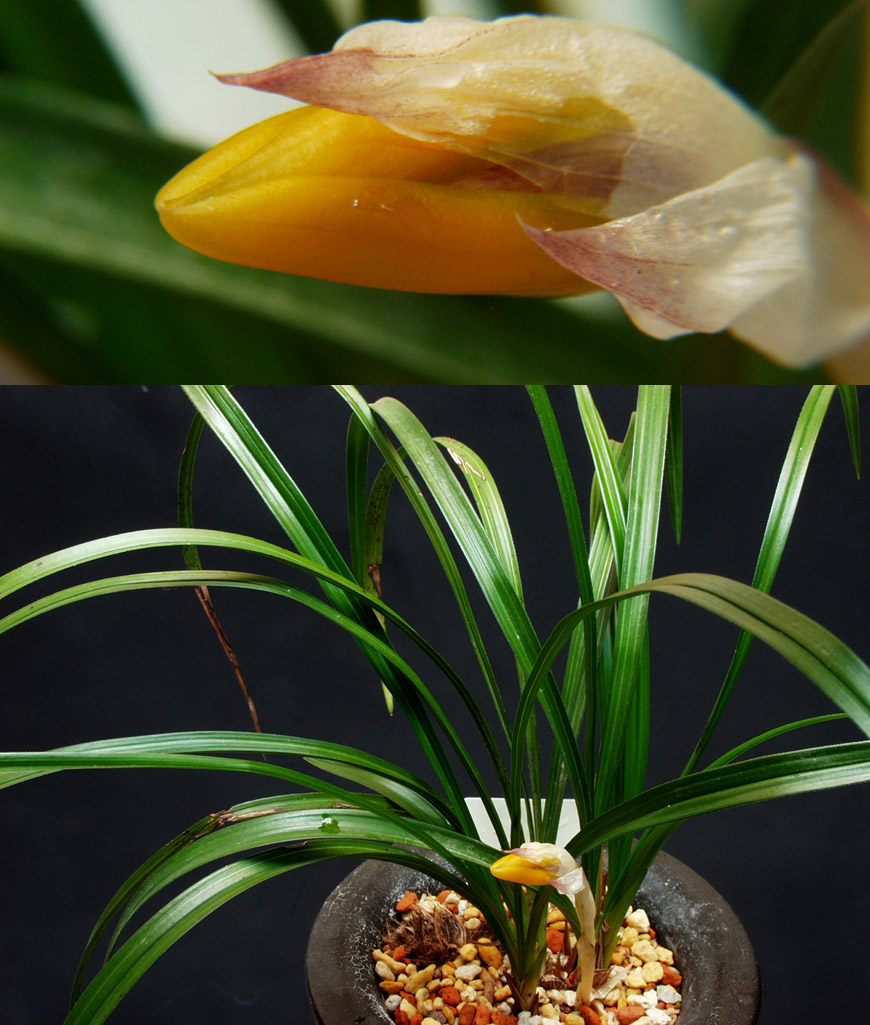 ������ ū������ �� �� �ֽ��ϴ�.