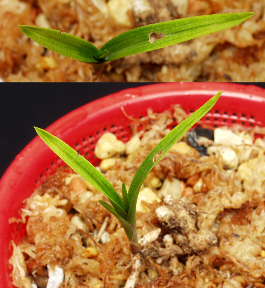 ������ ū������ �� �� �ֽ��ϴ�.