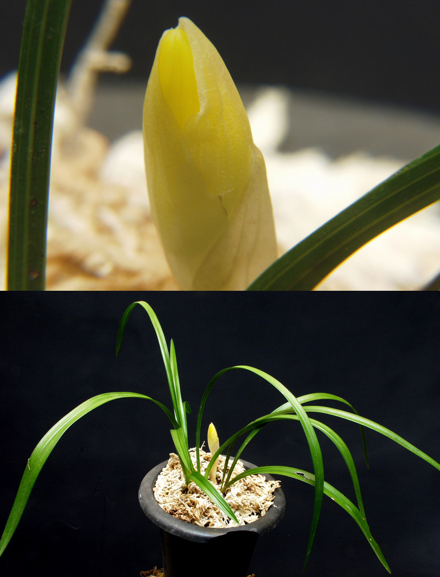 ������ ū������ �� �� �ֽ��ϴ�.