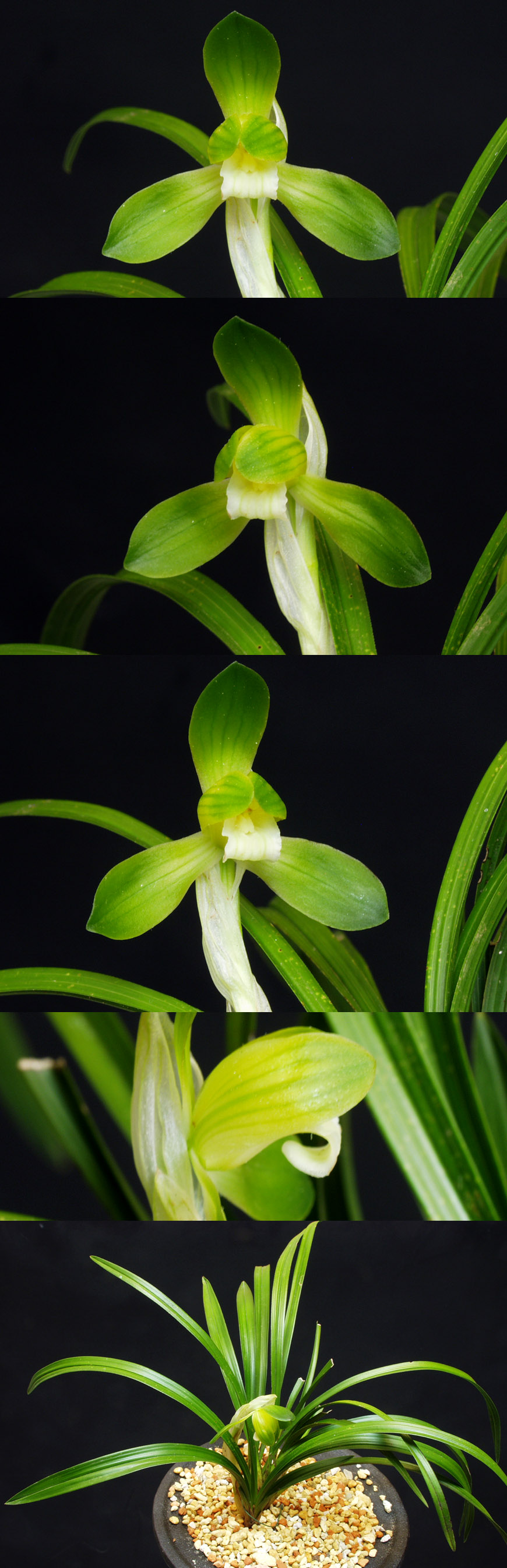 ������ ū������ �� �� �ֽ��ϴ�.