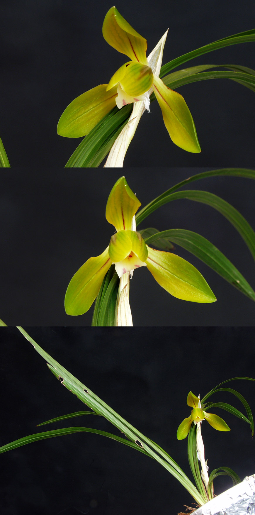 ������ ū������ �� �� �ֽ��ϴ�.