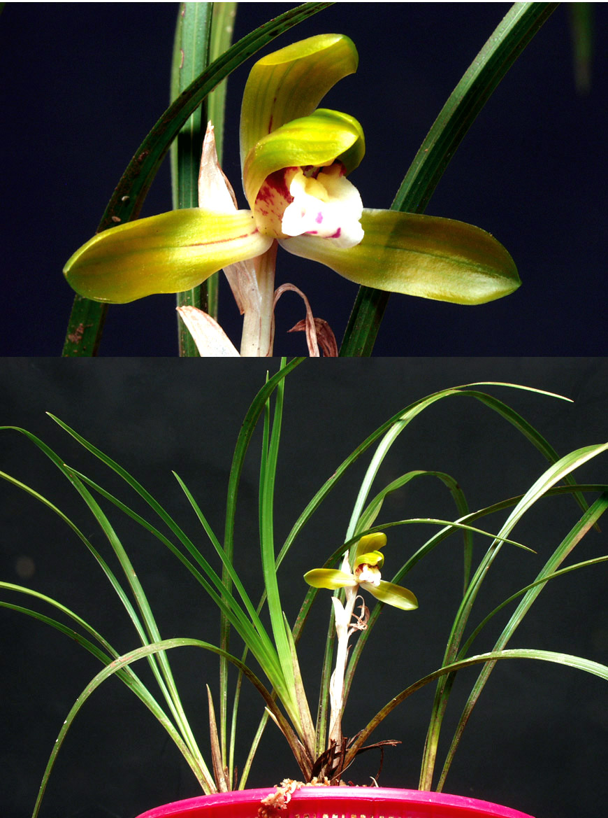 ������ ū������ �� �� �ֽ��ϴ�.