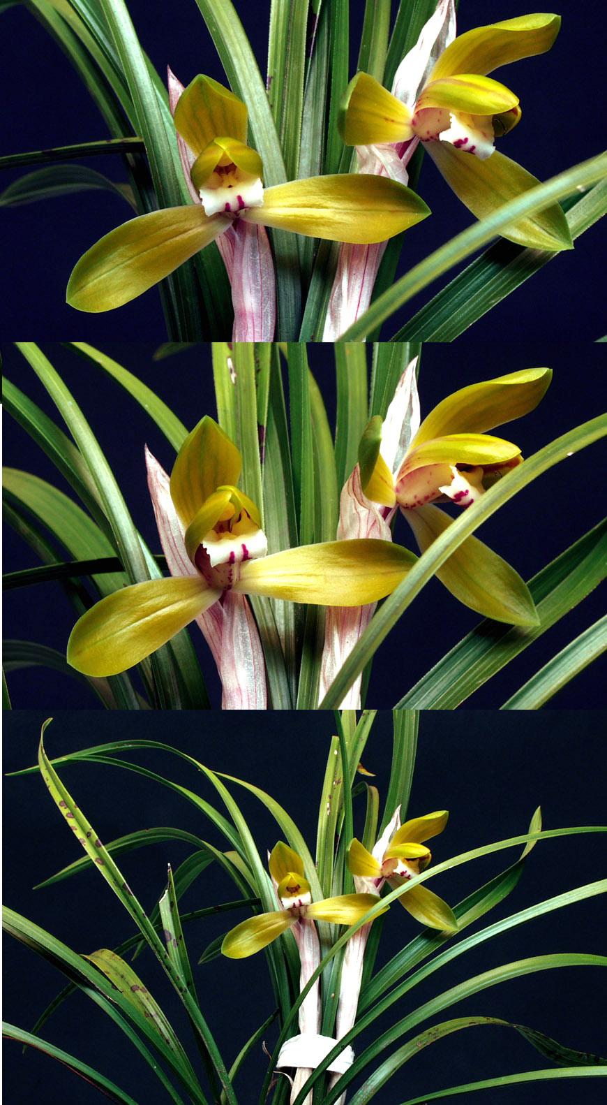 ������ ū������ �� �� �ֽ��ϴ�.