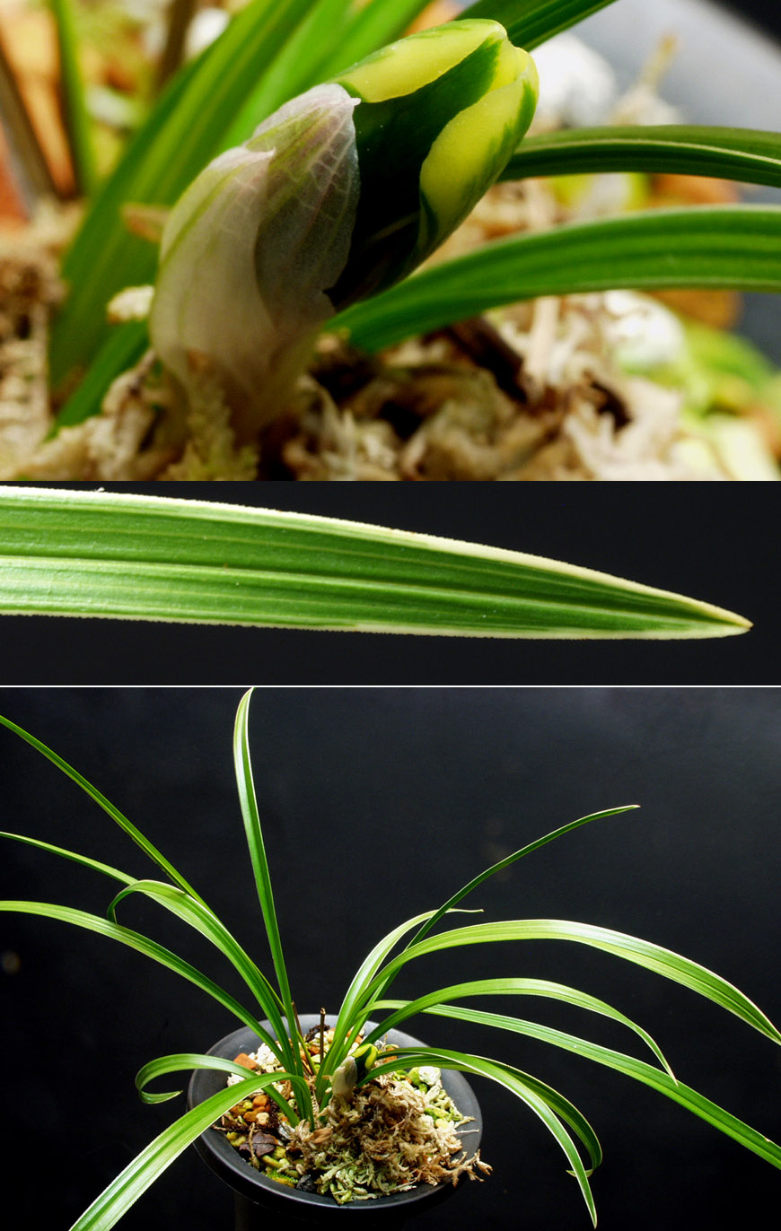 ������ ū������ �� �� �ֽ��ϴ�.