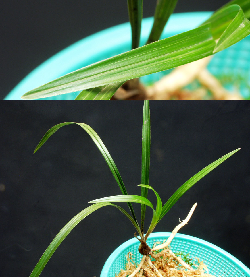 ������ ū������ �� �� �ֽ��ϴ�.