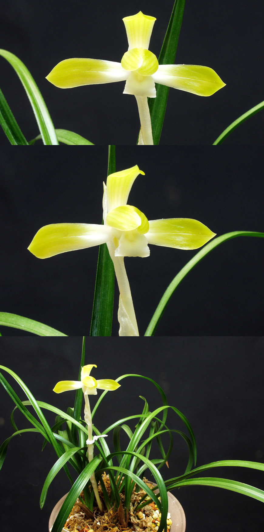 ������ ū������ �� �� �ֽ��ϴ�.