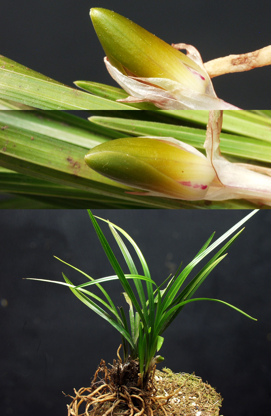 ������ ū������ �� �� �ֽ��ϴ�.