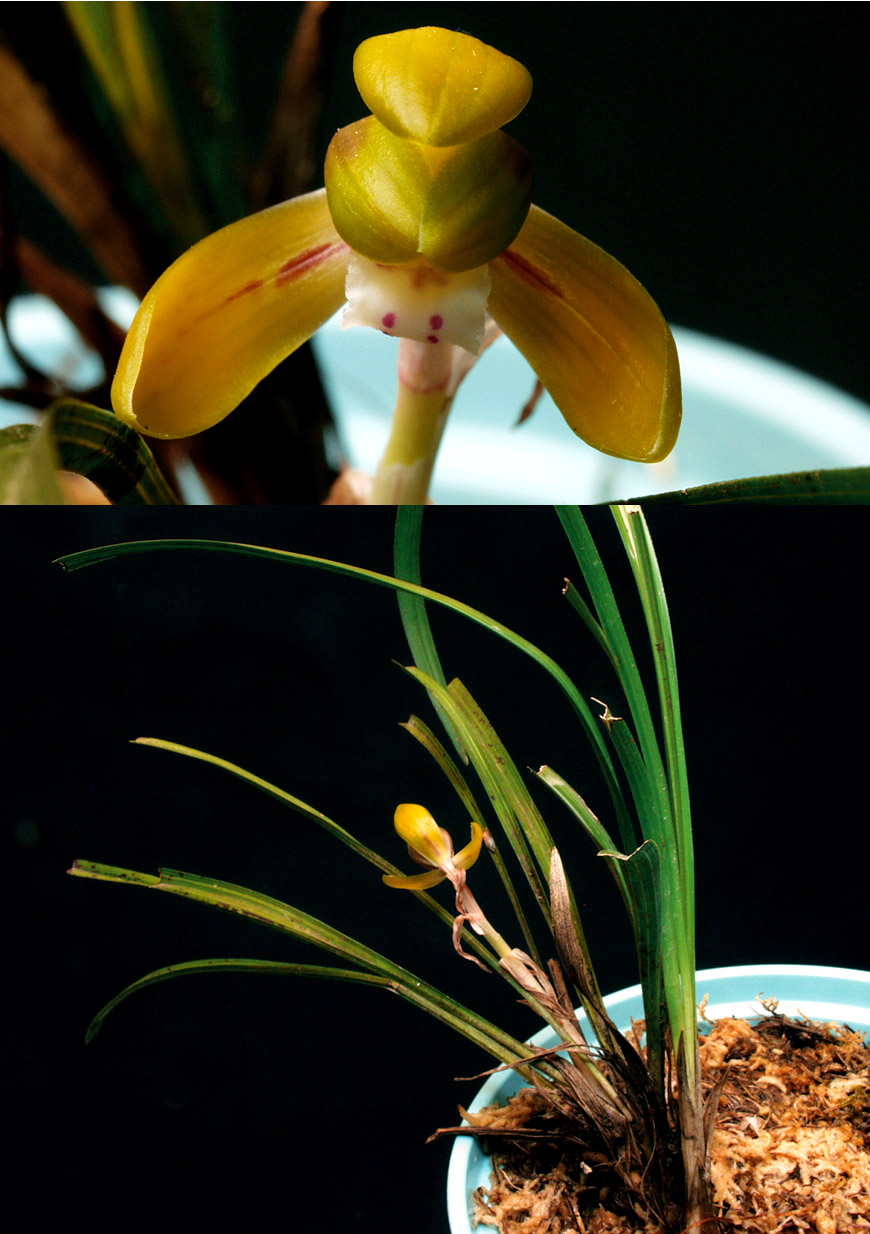 ������ ū������ �� �� �ֽ��ϴ�.