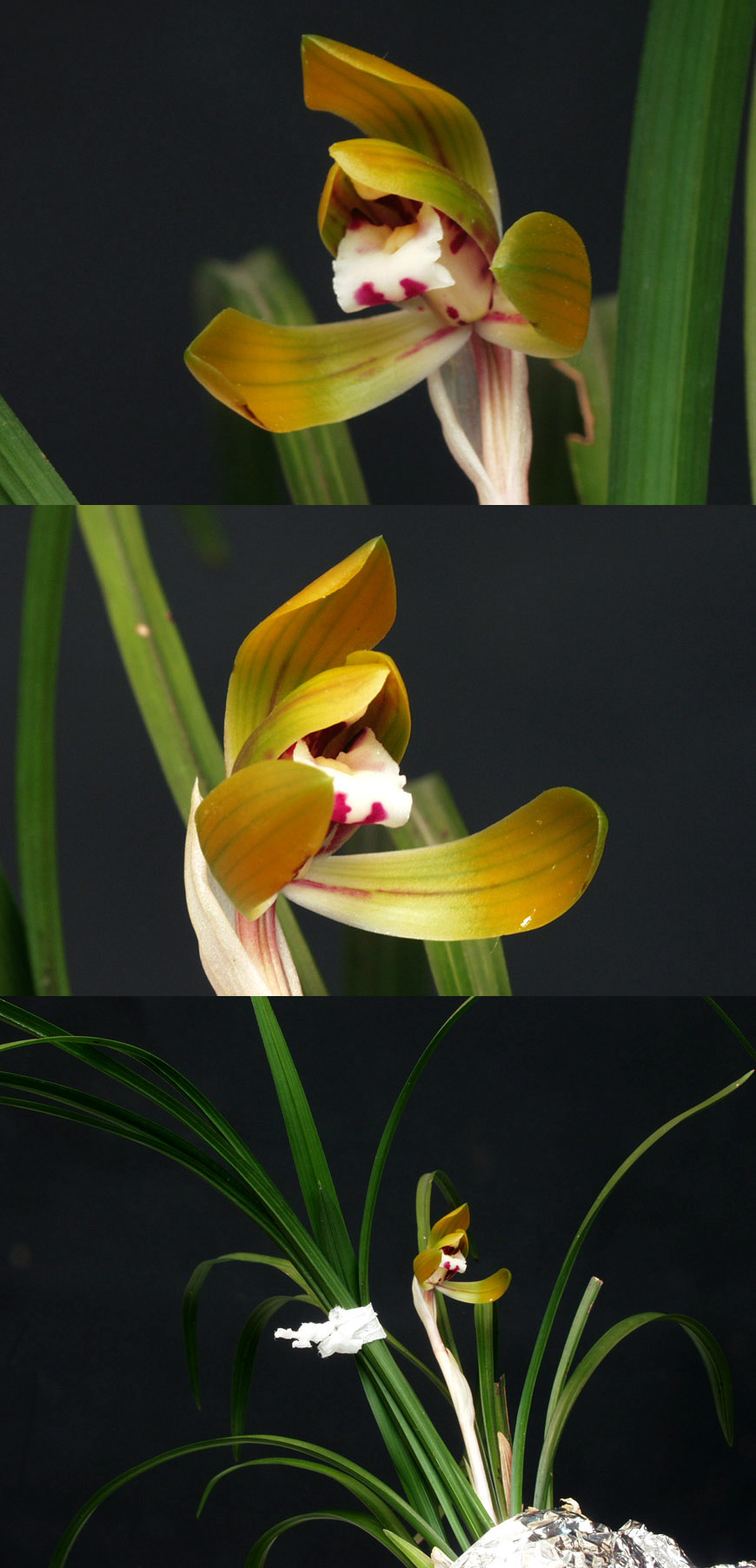 ������ ū������ �� �� �ֽ��ϴ�.