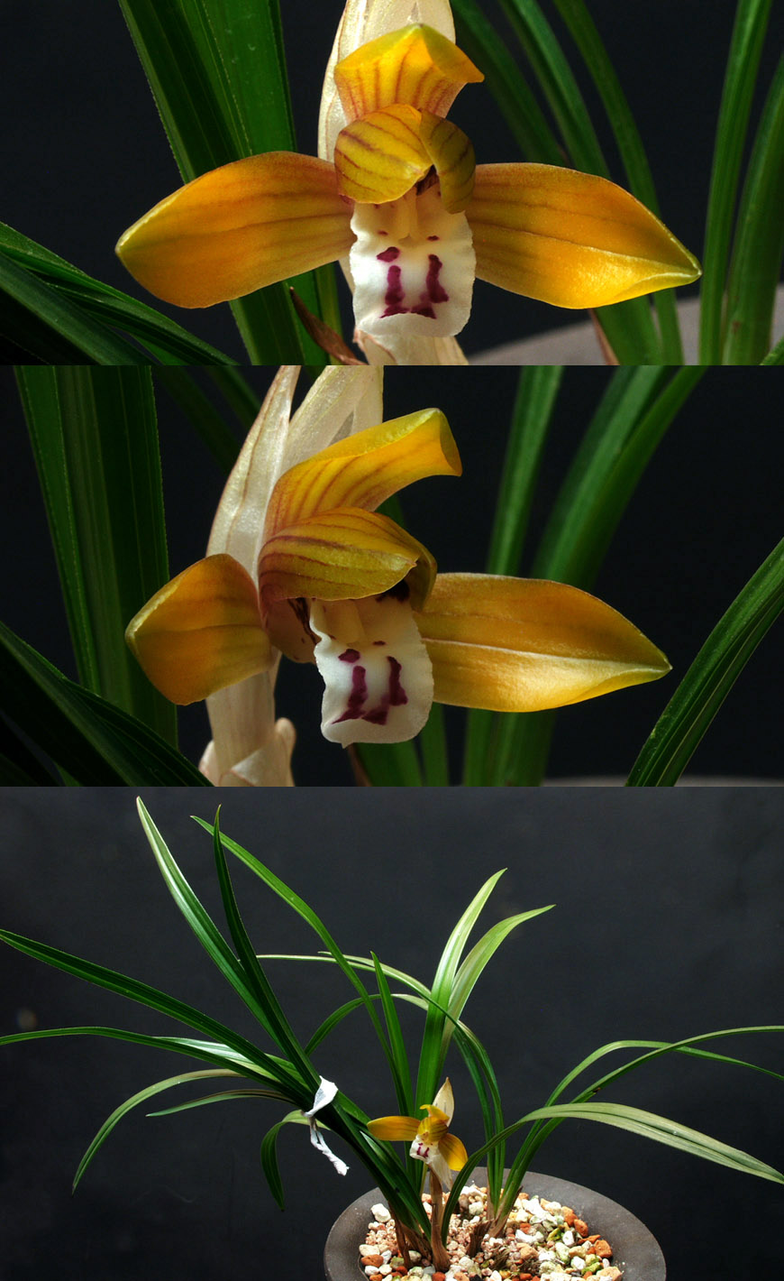 ������ ū������ �� �� �ֽ��ϴ�.