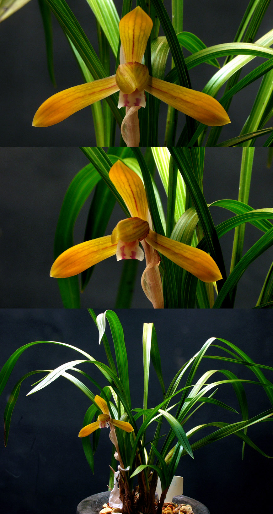 ������ ū������ �� �� �ֽ��ϴ�.