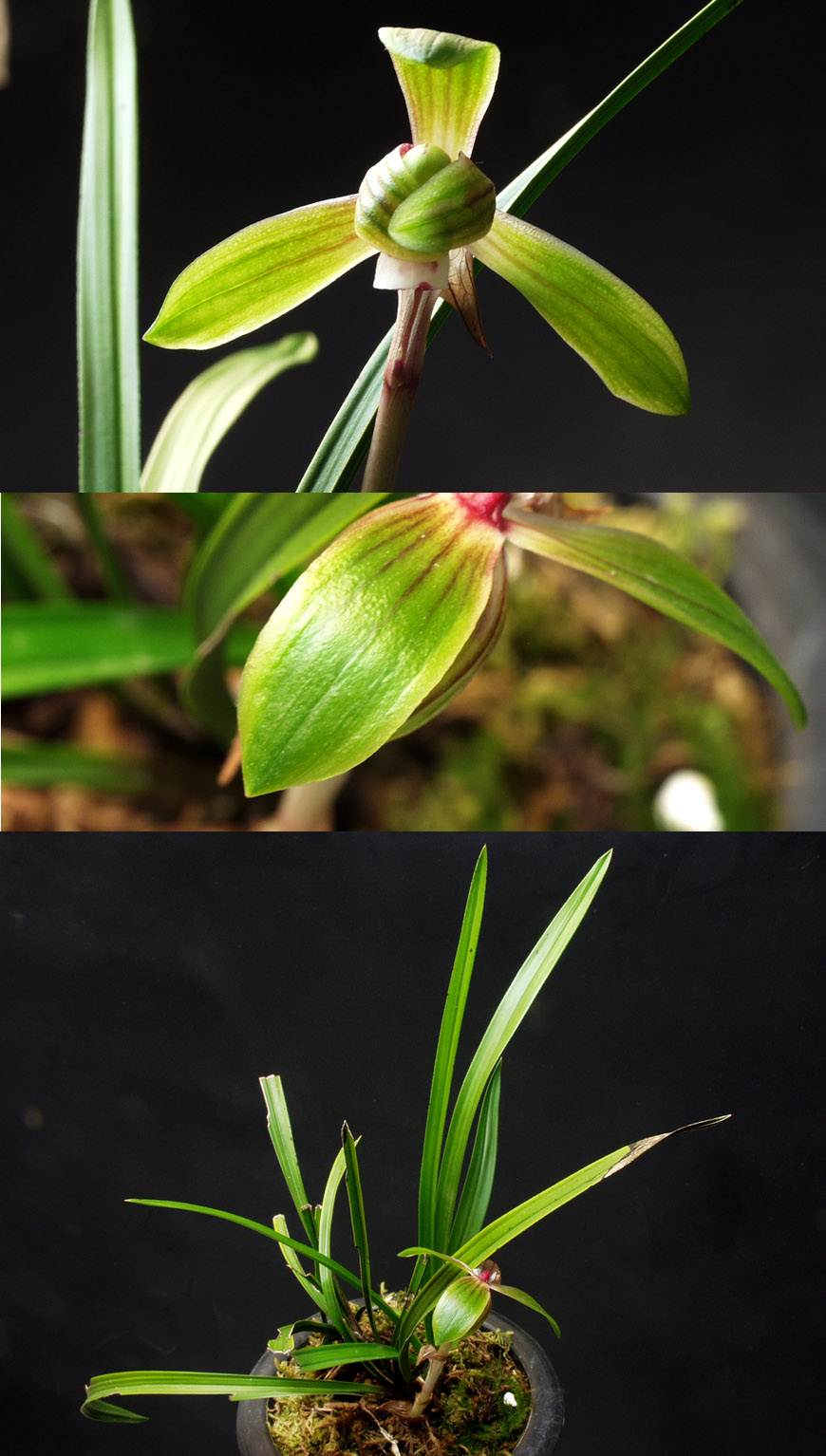 ������ ū������ �� �� �ֽ��ϴ�.