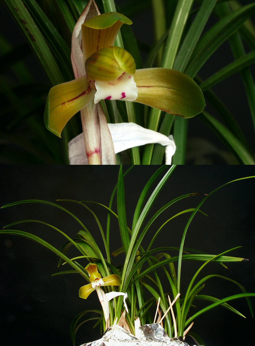 ������ ū������ �� �� �ֽ��ϴ�.