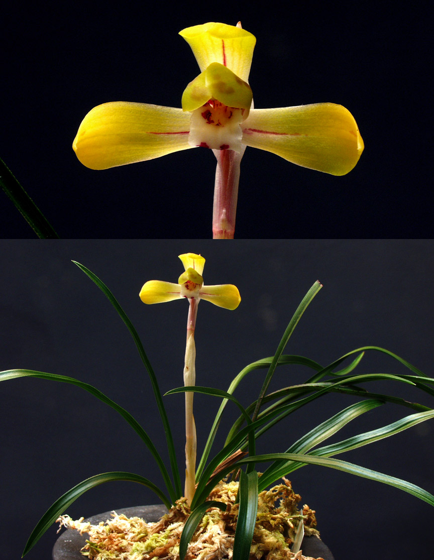 ������ ū������ �� �� �ֽ��ϴ�.