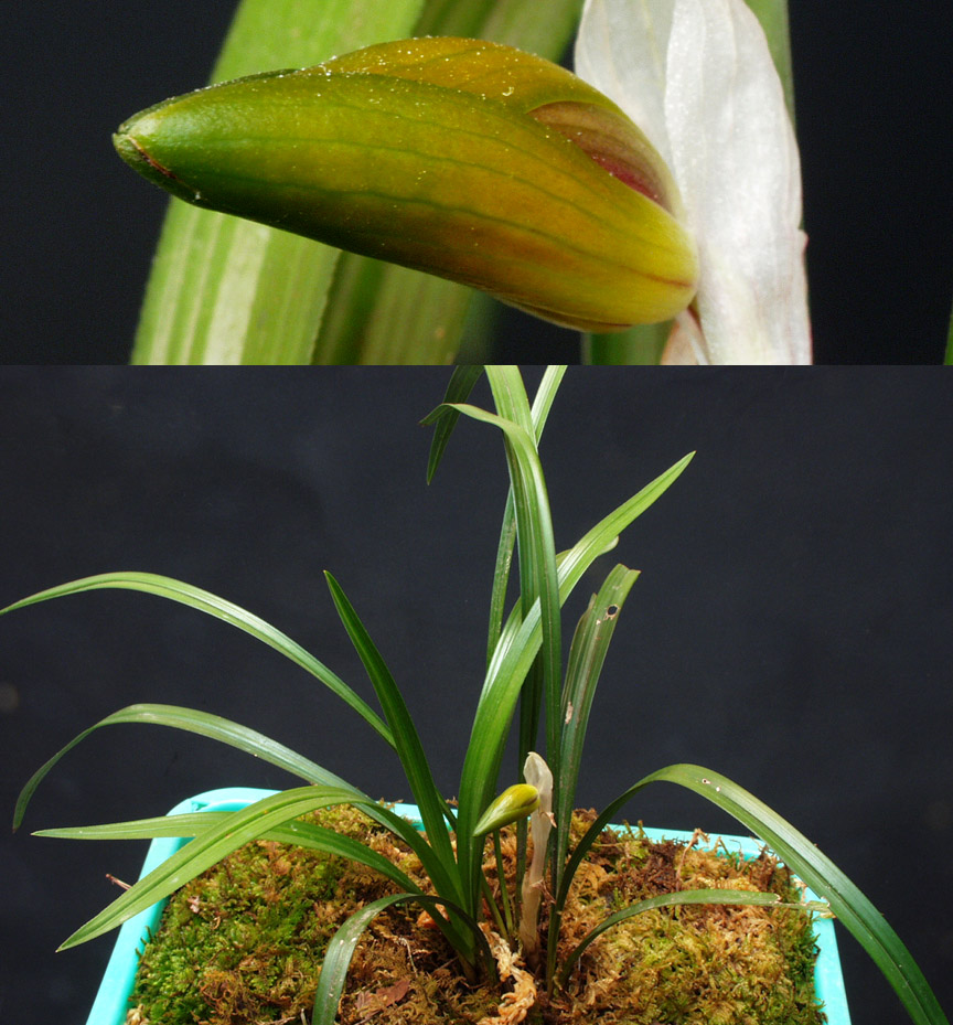 ������ ū������ �� �� �ֽ��ϴ�.