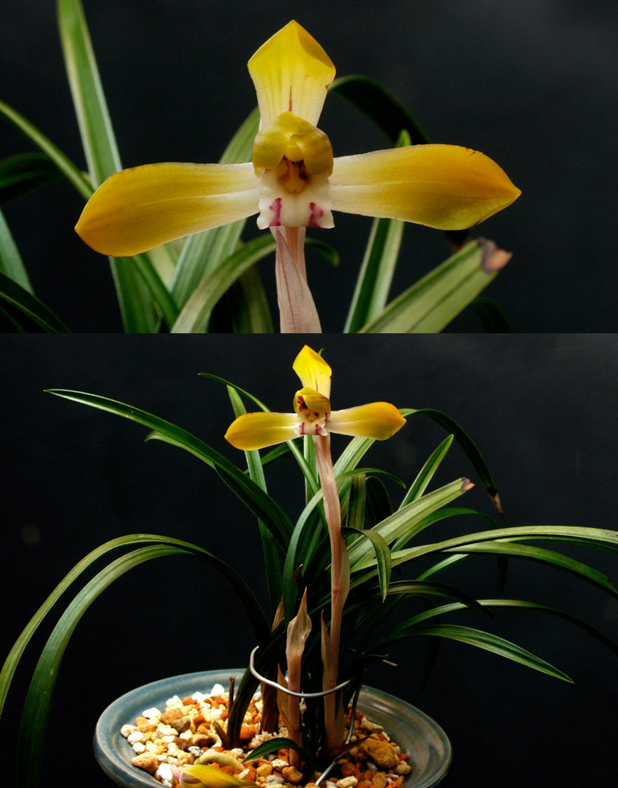 ������ ū������ �� �� �ֽ��ϴ�.