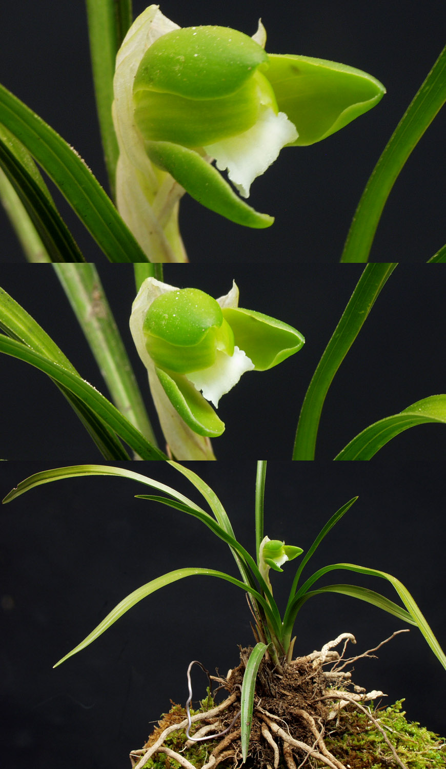 ������ ū������ �� �� �ֽ��ϴ�.