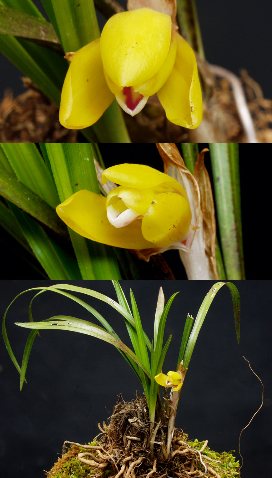 ������ ū������ �� �� �ֽ��ϴ�.