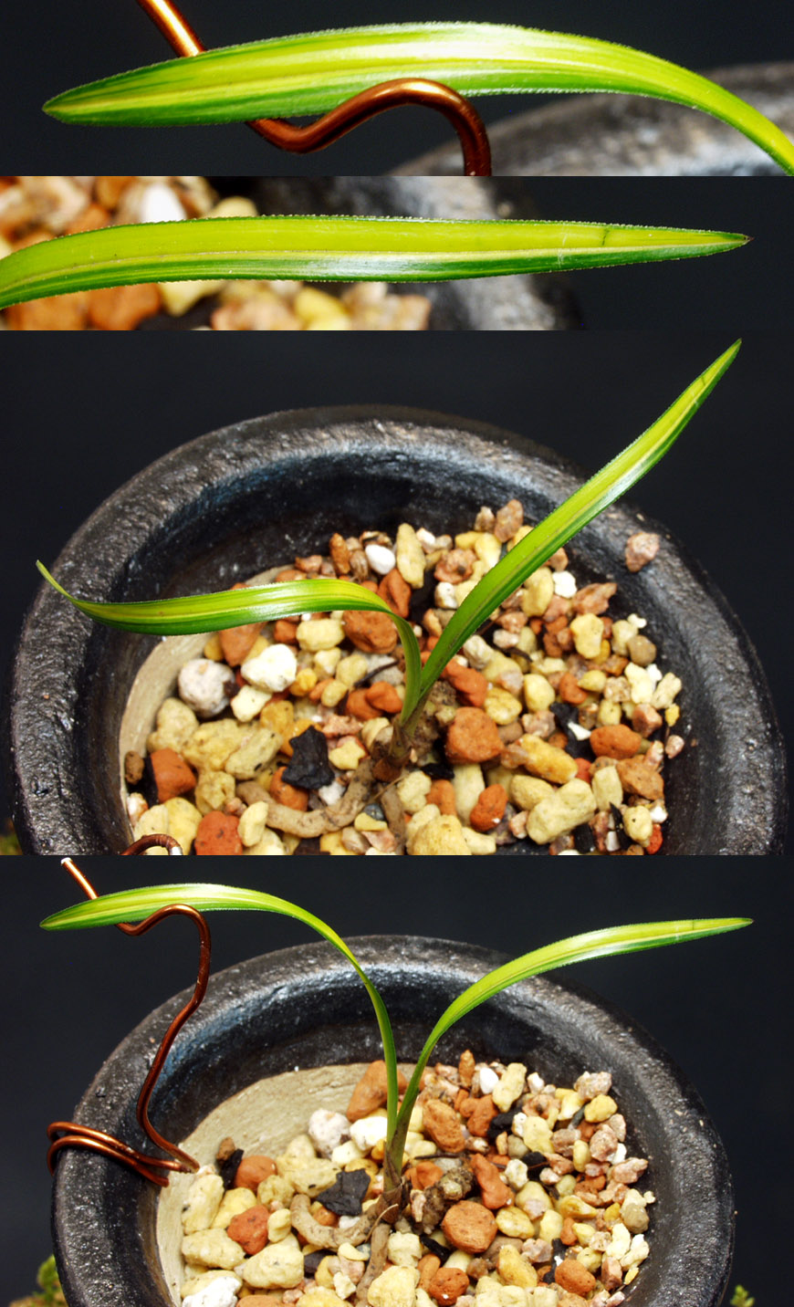 ������ ū������ �� �� �ֽ��ϴ�.