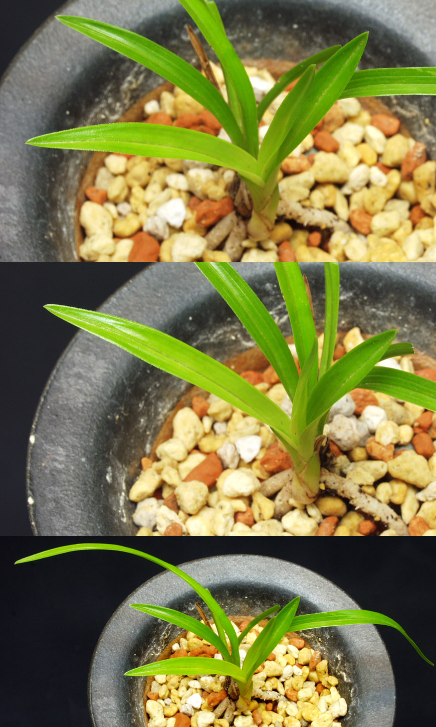 ������ ū������ �� �� �ֽ��ϴ�.