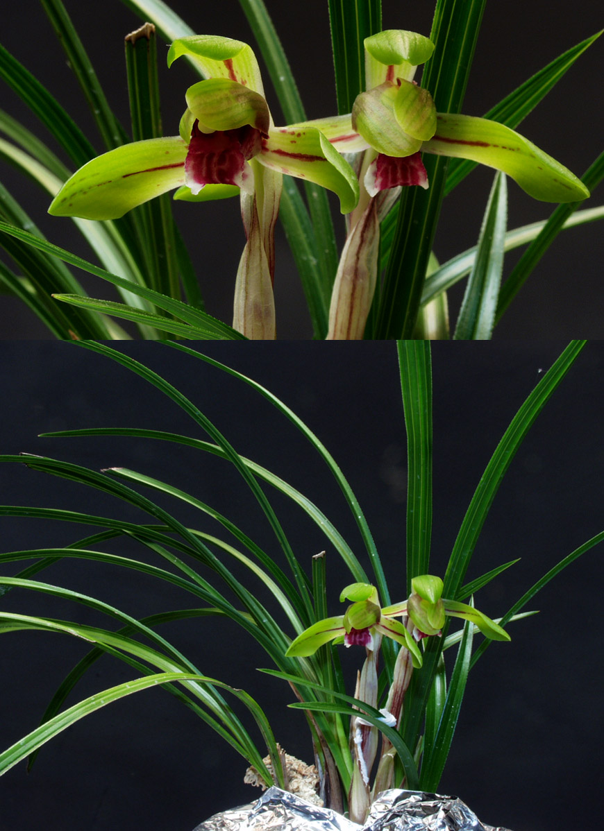 ������ ū������ �� �� �ֽ��ϴ�.