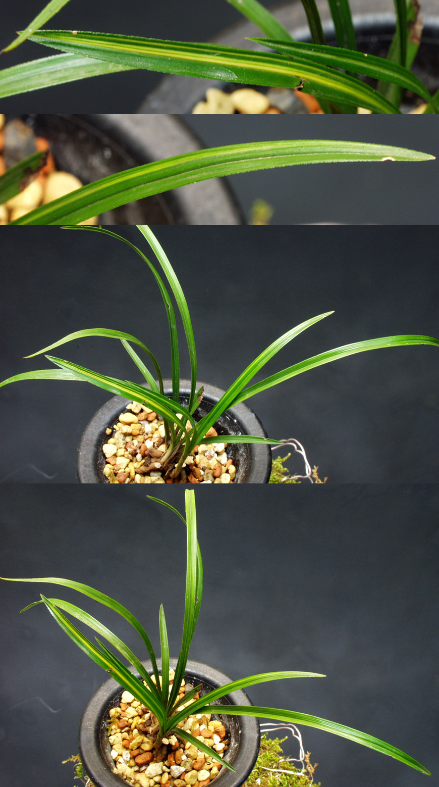 ������ ū������ �� �� �ֽ��ϴ�.