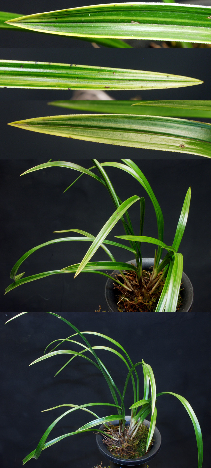 ������ ū������ �� �� �ֽ��ϴ�.