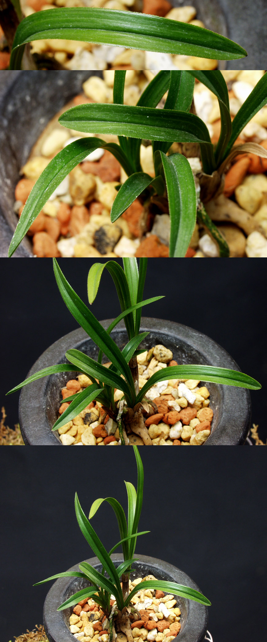 ������ ū������ �� �� �ֽ��ϴ�.