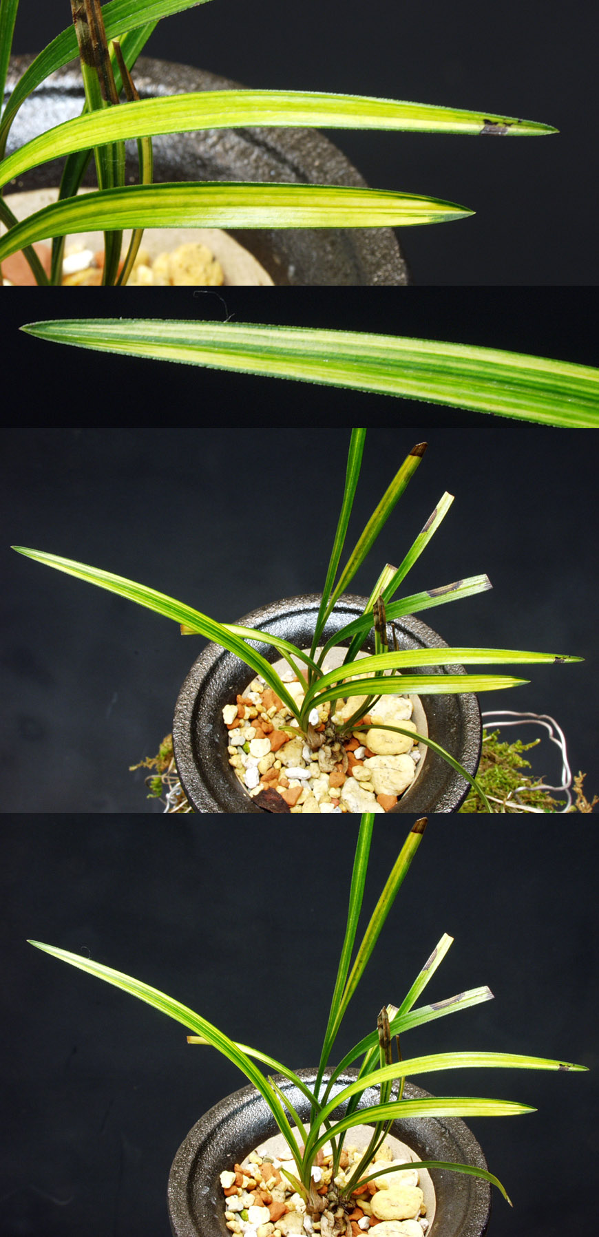 ������ ū������ �� �� �ֽ��ϴ�.